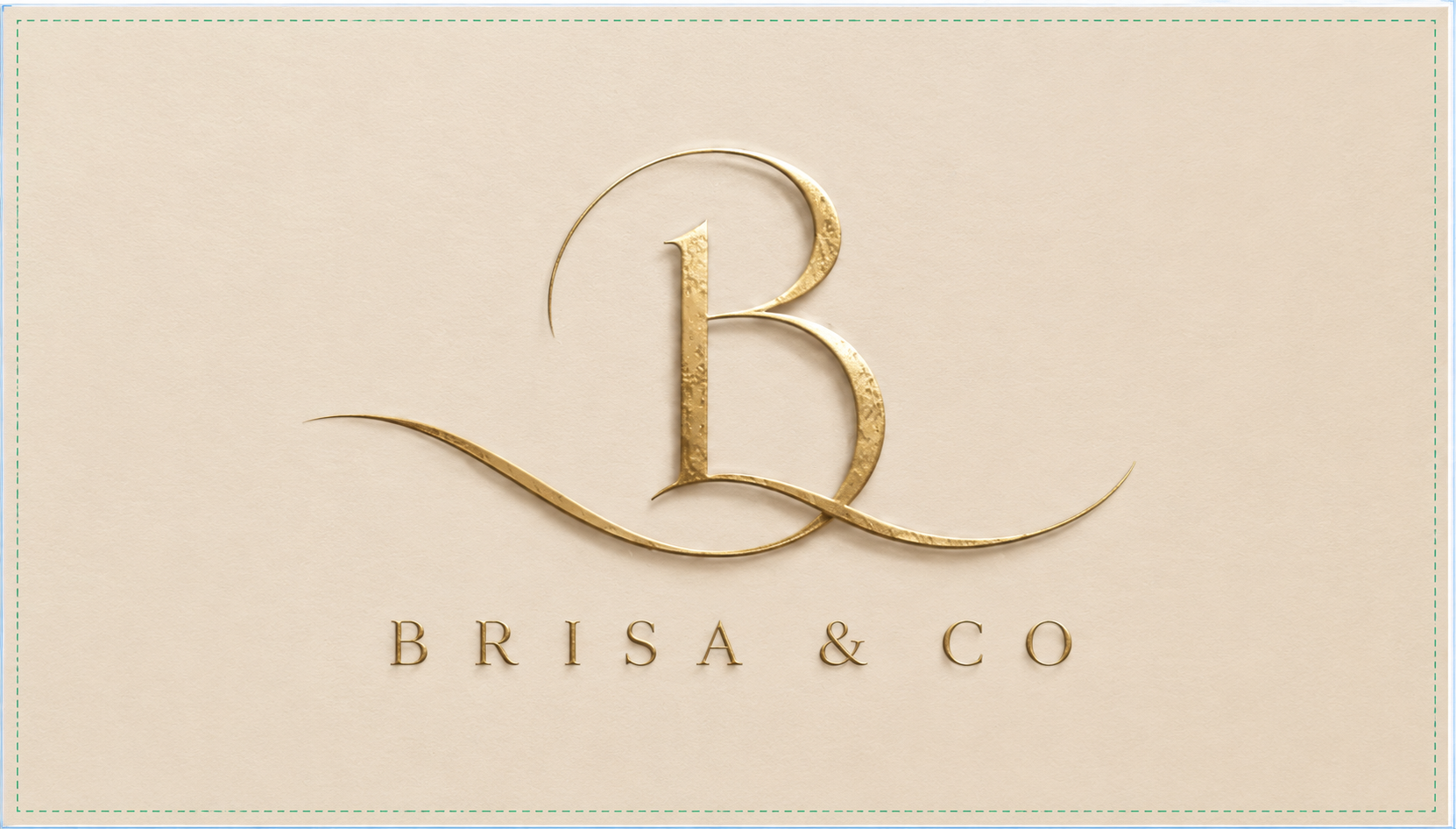 Brisa and Co. logo